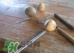 牛油果核能吃嗎？牛油果核怎么種盆栽？