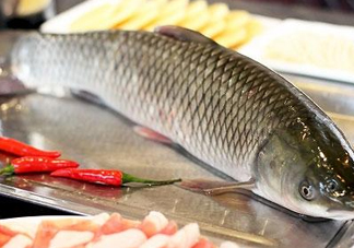 鯇魚(yú)和草魚(yú)哪個(gè)好吃？鯇魚(yú)和草魚(yú)的區(qū)別