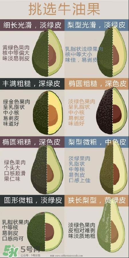 牛油果怎么挑選？牛油果多少錢(qián)一斤？