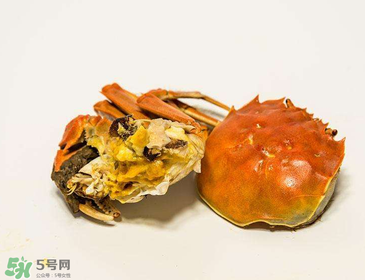 哪種螃蟹有蟹黃？哪種螃蟹蟹黃最多？