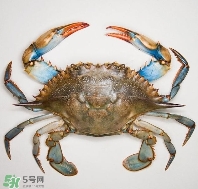 蟹膏是綠色的嗎？蟹膏是黑色的能吃嗎？