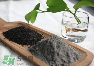 核桃粉寶寶可以吃嗎？寶寶幾個月可以吃？