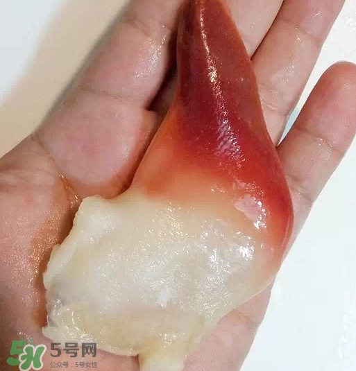 北極貝多少錢一斤？北極貝長(zhǎng)什么樣子