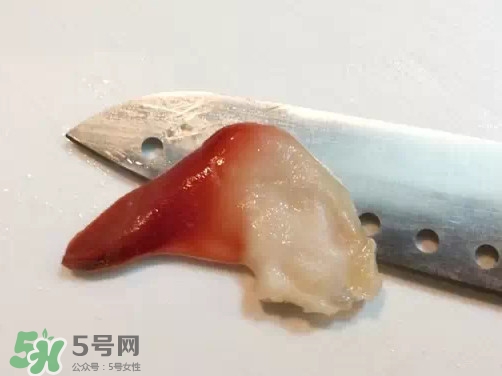 北極貝多少錢一斤？北極貝長(zhǎng)什么樣子