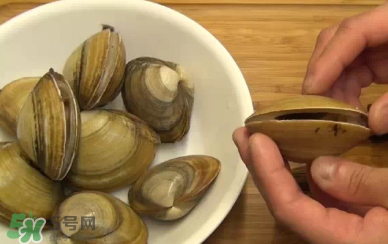 北極貝多少錢一斤？北極貝長(zhǎng)什么樣子