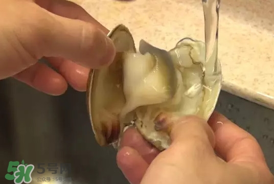北極貝多少錢一斤？北極貝長(zhǎng)什么樣子