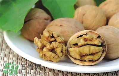 核桃分心木可以煲湯嗎？核桃分心木可以和枸杞泡水嗎？
