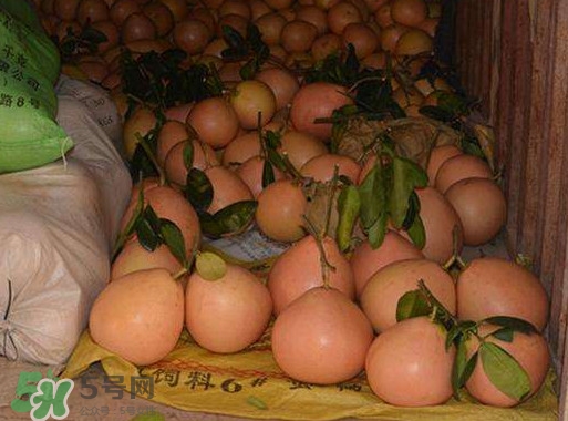 三紅蜜柚幾年結(jié)果？種三紅蜜柚好還是紅肉蜜柚好？