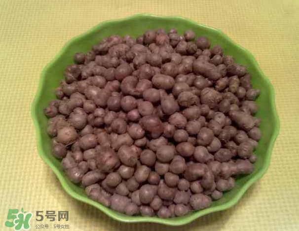 山藥豆是什么東西？山藥豆是長(zhǎng)在土里嗎？