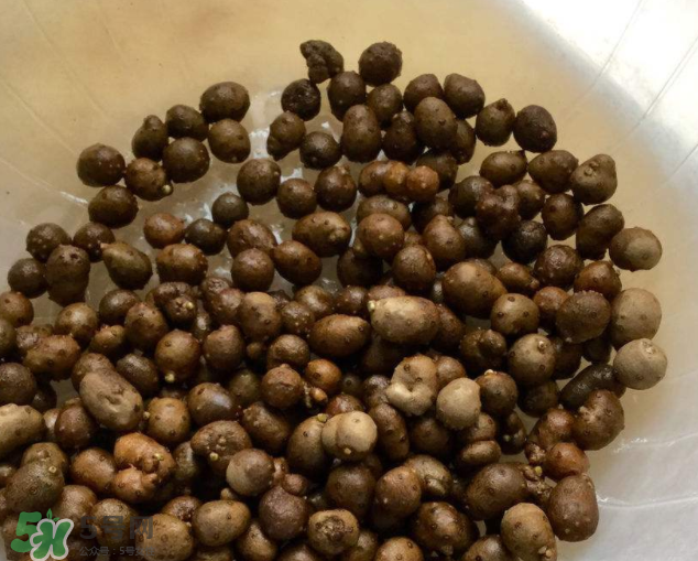 山藥豆能生吃嗎？山藥豆能帶皮吃嗎？