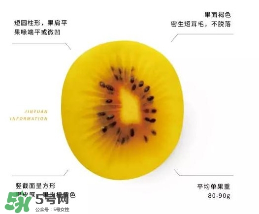 黃心獼猴桃叫什么名字？黃心獼猴桃是什么品種