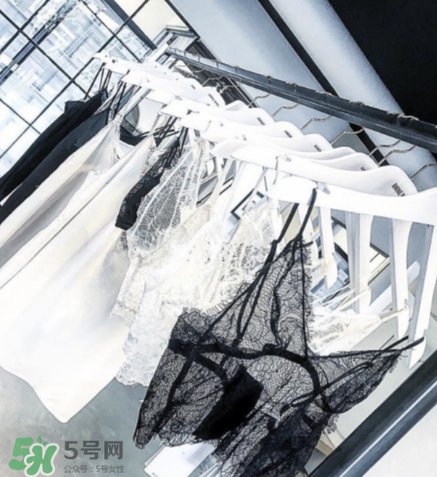 anine bing是什么牌子？anine bing是什么檔次？