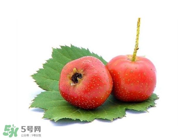 山楂和菊花能一起泡水喝嗎？