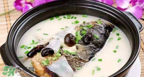 怎樣吃魚最有營養(yǎng)？喝魚湯會致高脂血癥嗎？
