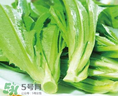 萵苣葉能吃嗎？萵苣葉和油麥菜有什么區(qū)別