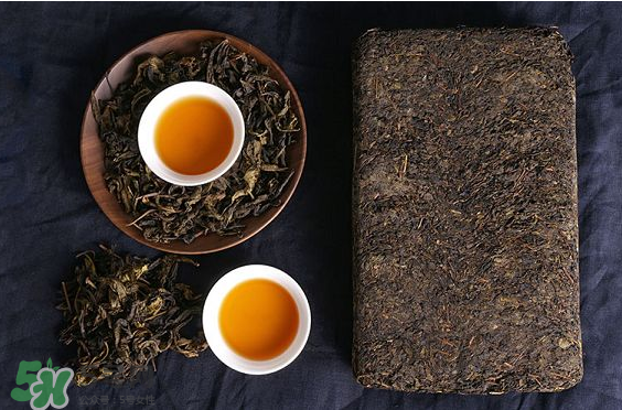 茯茶是熱性還是涼性？茯茶是不是放越久越好？