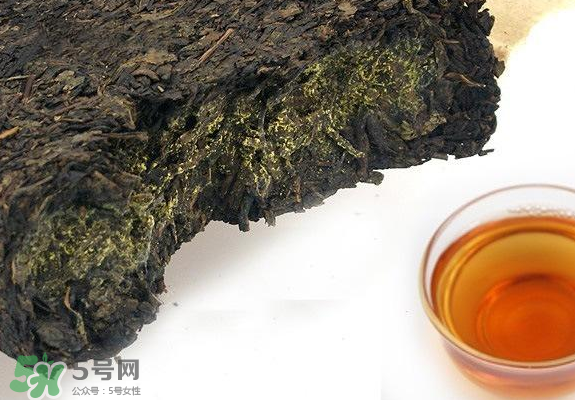 茯茶是熱性還是涼性？茯茶是不是放越久越好？
