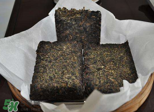 茯茶是熱性還是涼性？茯茶是不是放越久越好？