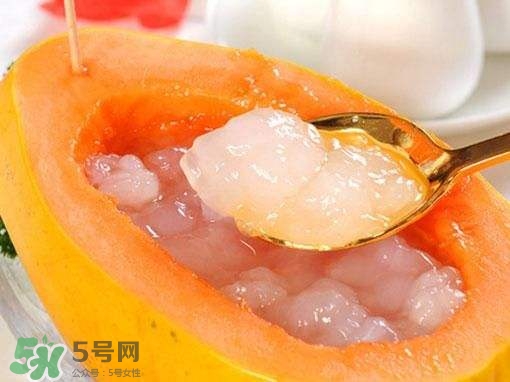 如何分辨雪蛤真假？挑雪蛤的方法