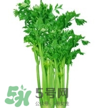醋泡洋蔥能降血壓嗎？哪些食物可以降血壓？