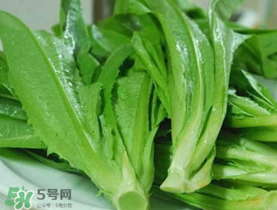 孕婦能吃涼拌萵苣葉嗎？萵苣葉煮水可以治蕁麻疹嗎