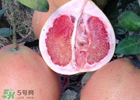 三紅蜜柚口味怎么樣？三紅蜜柚苗多少錢一棵
