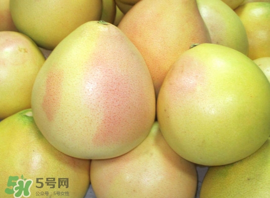 三紅蜜柚什么時(shí)候種植？三紅蜜柚什么時(shí)候成熟