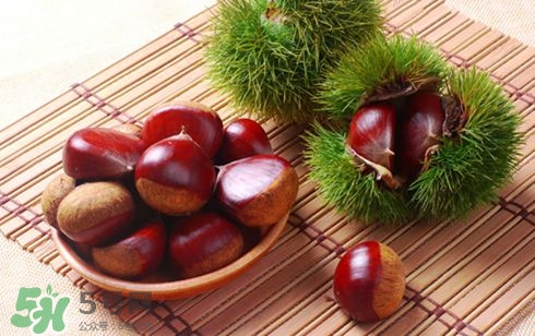 板栗酒能治療腎陽虛嗎？板栗泡酒真的能壯陽嗎？