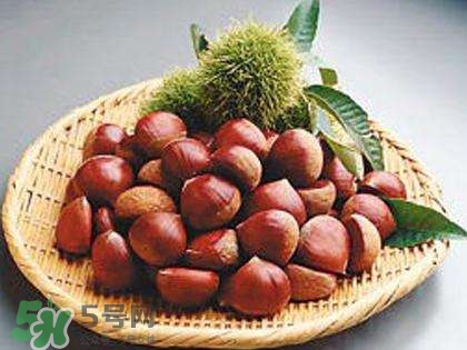 板栗酒能治療腎陽虛嗎？板栗泡酒真的能壯陽嗎？