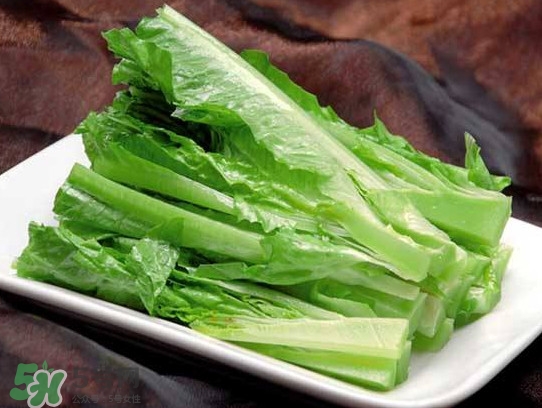 萵苣葉能吃嗎？萵苣葉和油麥菜有什么區(qū)別