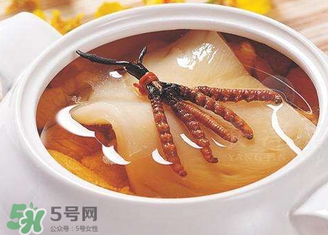 花膠能天天吃嗎？花膠一天吃多少克？
