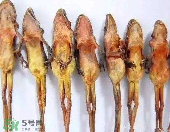 雪蛤干多少錢一斤？雪蛤干怎么吃？