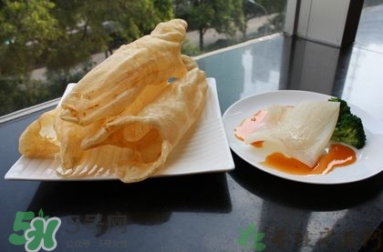 花膠可以放多久？花膠可以放冰箱嗎？