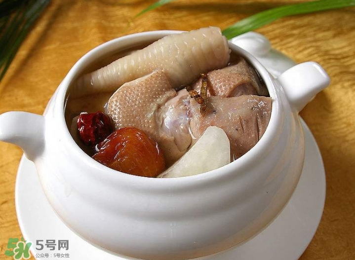 花膠可以放多久？花膠可以放冰箱嗎？