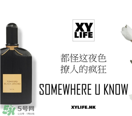 tom ford午夜蘭花香水多少錢？午夜蘭花香水專柜價(jià)格