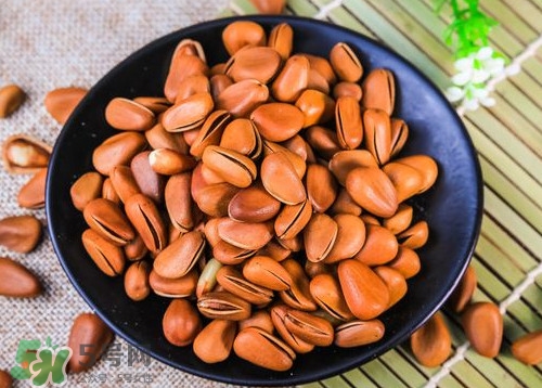 松籽什么季節(jié)采摘？吃松籽有什么好處？