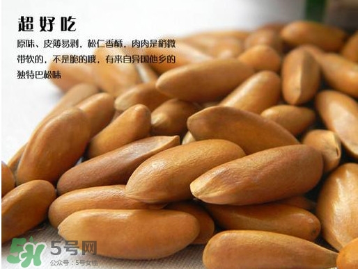松籽過期還能吃嗎？松籽出芽是怎么回事
