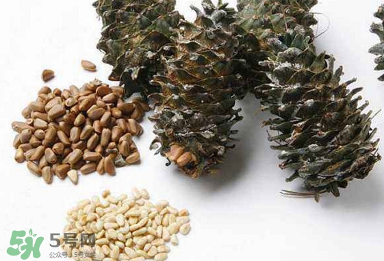 松子是松樹的果實嗎？松子是酸性還是堿性