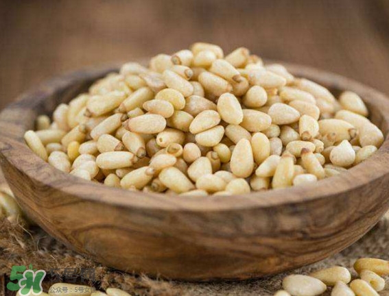 松籽是什么樹結(jié)的？松子還是松籽？