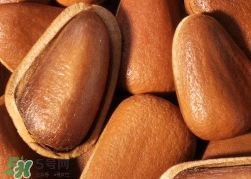 松籽什么季節(jié)采摘？吃松籽有什么好處？