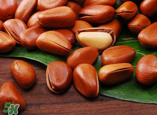 松籽可以生吃嗎？松籽怎么儲藏保存