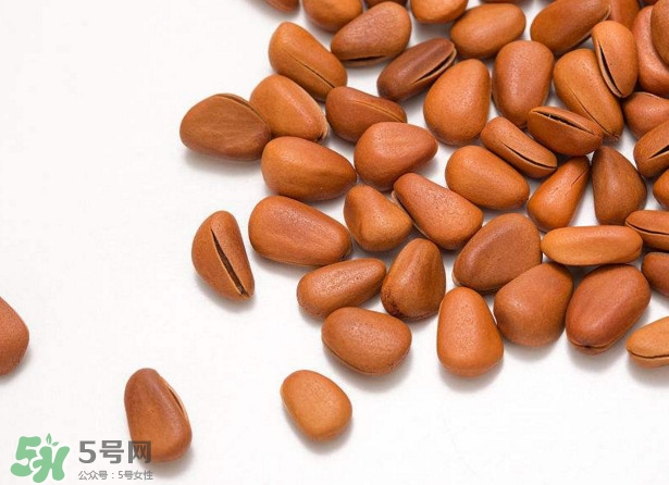 松籽多少錢一斤？松籽怎么炒能開口