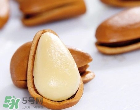 松子是松樹的果實嗎？松子是酸性還是堿性
