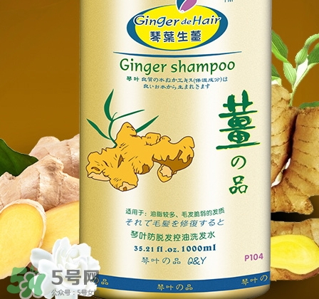 琴葉生姜洗發(fā)水好用嗎？琴葉生姜洗發(fā)水真假
