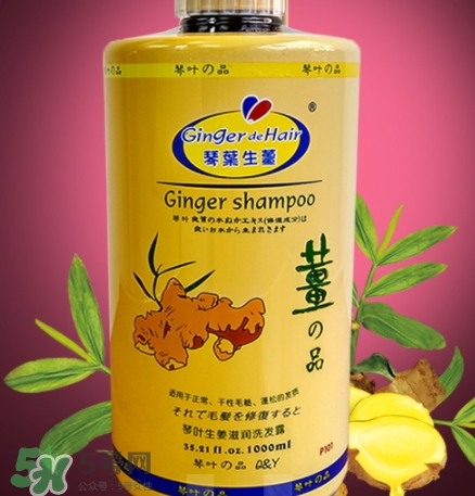 琴葉生姜洗發(fā)水好用嗎？琴葉生姜洗發(fā)水真假