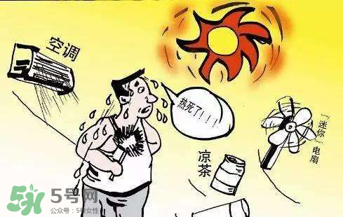 秋老虎是熱還是冷？秋老虎的情況介紹