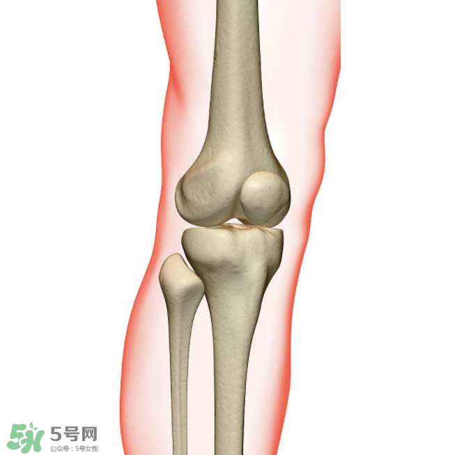 風(fēng)濕不治療可以治愈嗎？早期風(fēng)濕能自愈嗎？