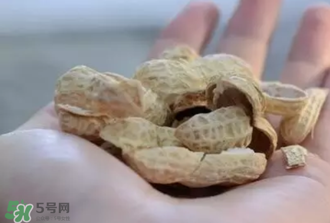 花生發(fā)芽后營(yíng)養(yǎng)如何？花生殼煮水喝有什么用？
