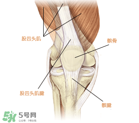 風濕可以吃螃蟹嗎？得了風濕能吃螃蟹嗎？