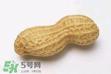 花生有哪些種類型？花生怎么栽培管理？